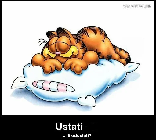 Ustati ili odustati
