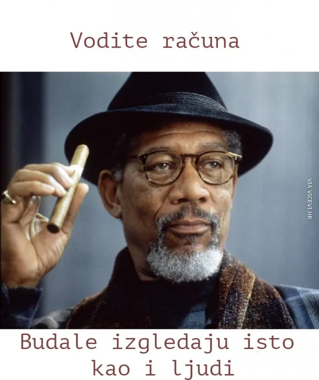 Kako izgledaju budale?