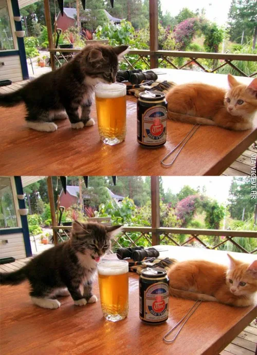 Prvi susret s alkoholom