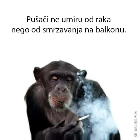Zašto pušači umiru