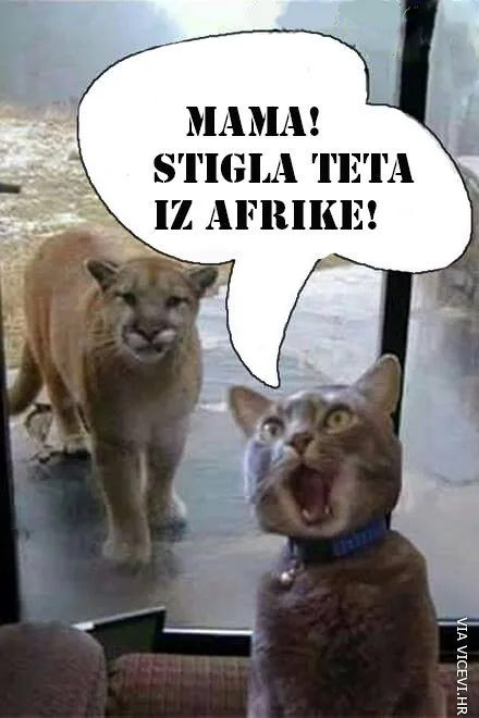 Došla teta iz Afrike