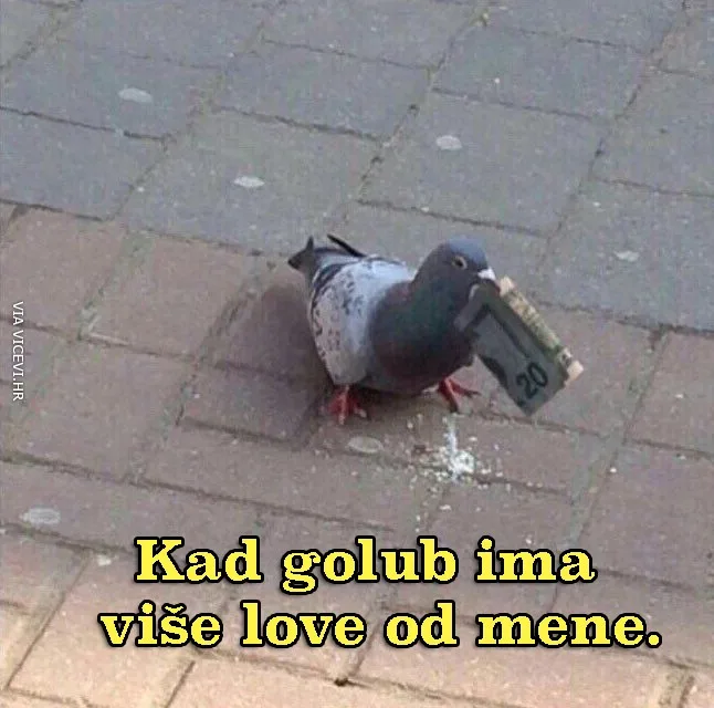 Naravno da ima, kad ne plaća stanarinu