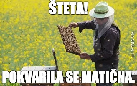 Bez garancije