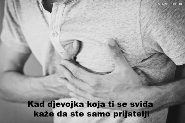 Mi smo samo prijatelji