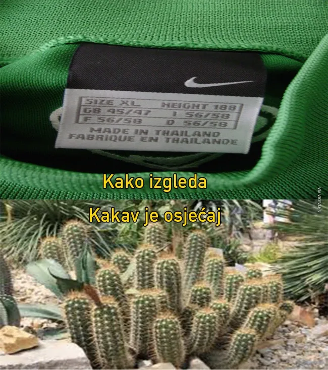 Kako izgleda, kakav je osjećaj