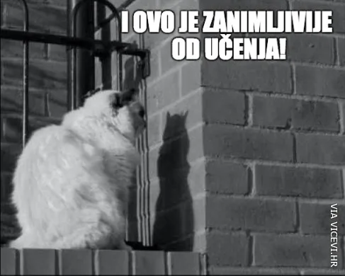 Bez motivacije