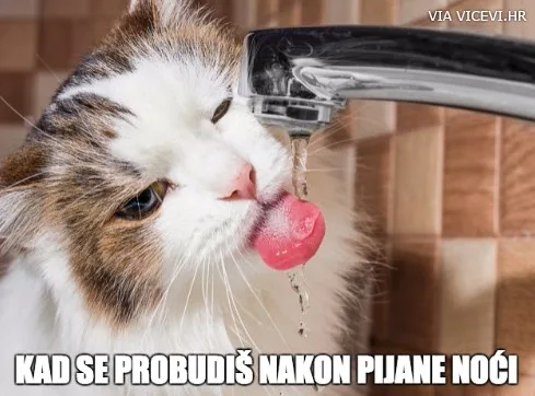 Jutro nakon