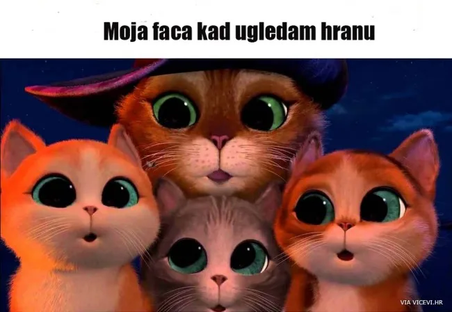 Kad ugledam hranu
