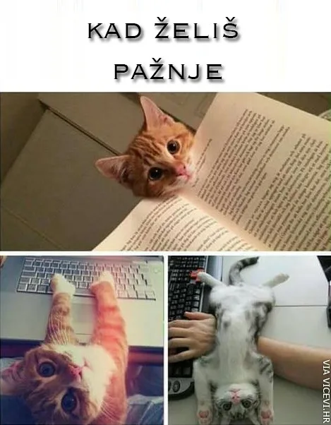 Željna pažnje