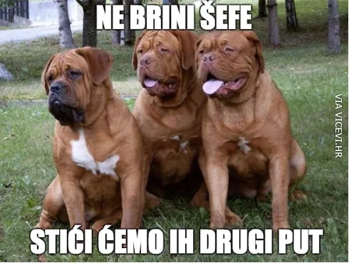 Više sreće drugi put