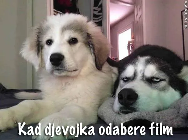 Kad djevojka odabere film