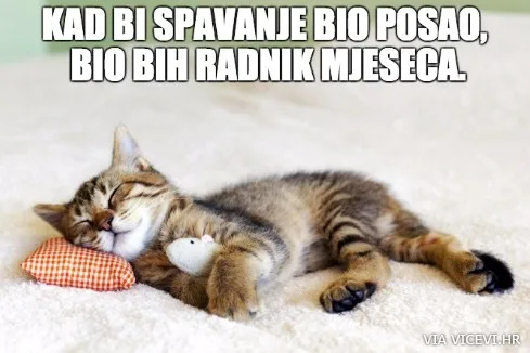 Posao iz snova
