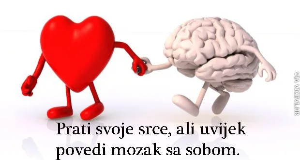 Mozak je najbolji suputnik