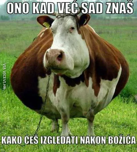 Neumjerenost u jelu i piću