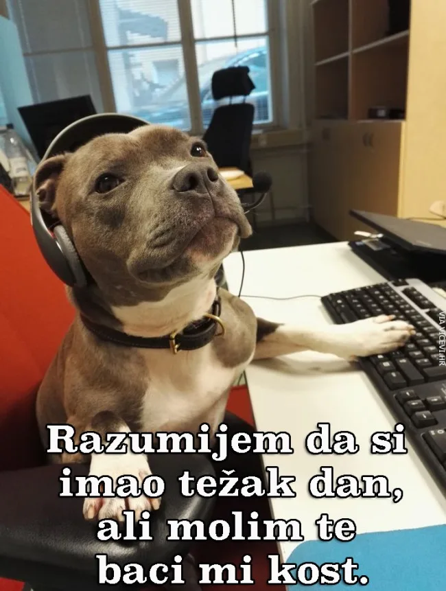Šefe, baci više tu kost