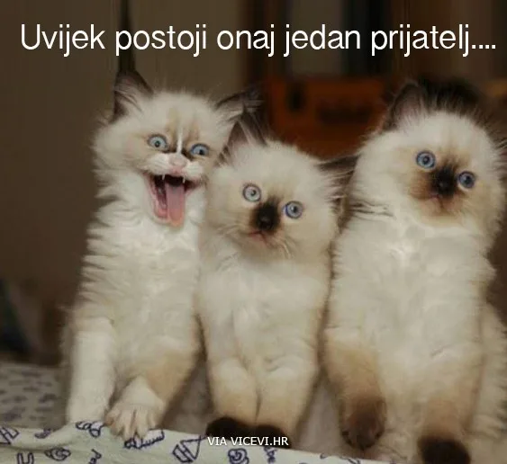 Najluđi od svih