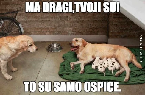 To su samo ospice