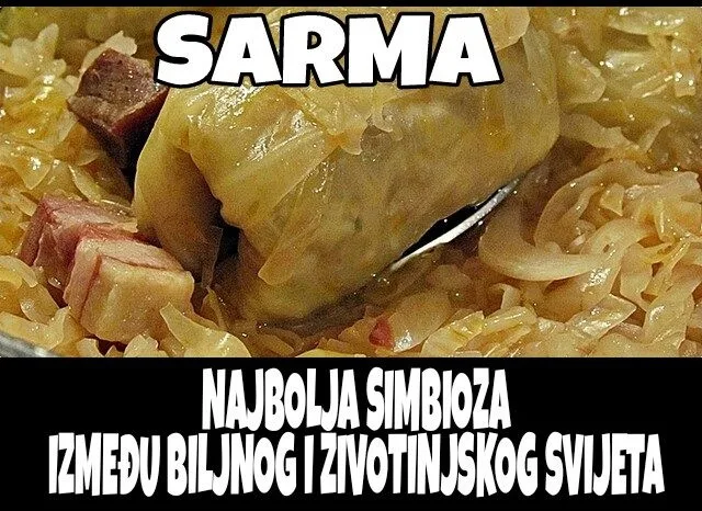 Savršena simbioza