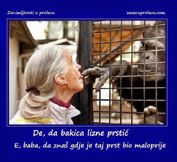 Baba i majmun