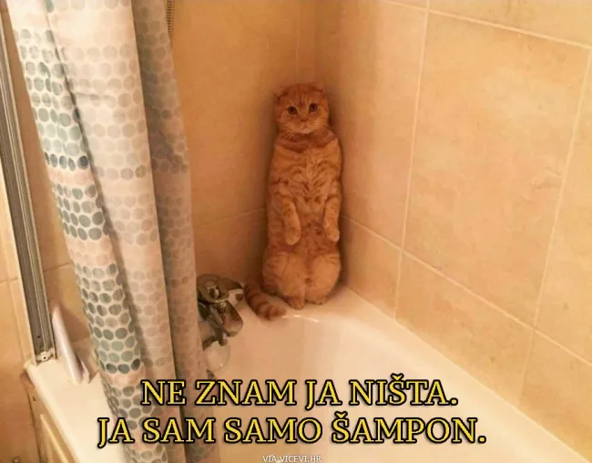 Ja sam samo šampon