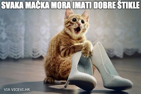 Mačka u štiklama