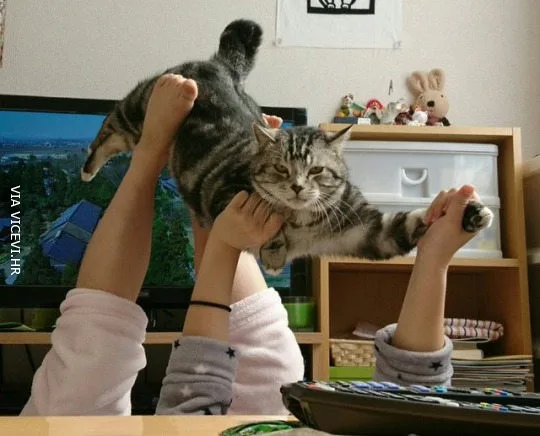 Vjeruje da mogu letjeti