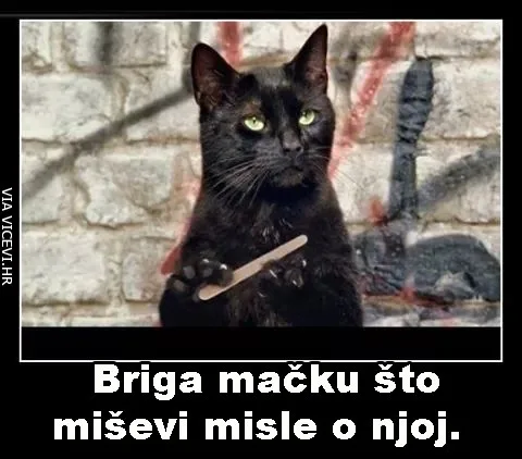 Briga mačku što miševi misle o njoj