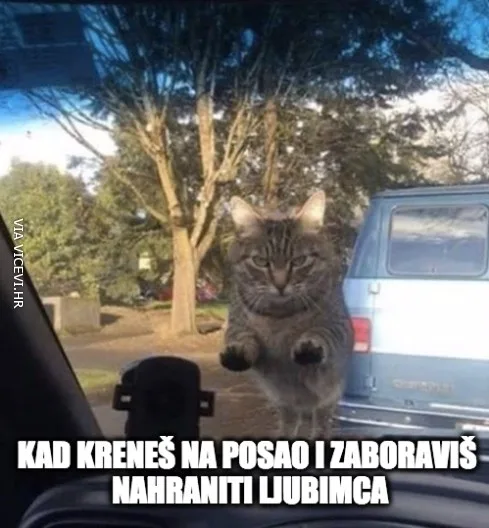 Kad kreneš na posao i zaboraviš na ljubimca