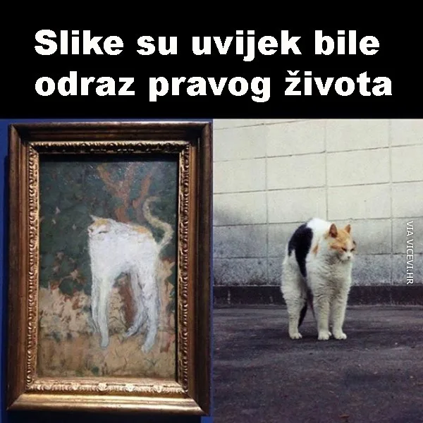 Slike u odraz vašeg života
