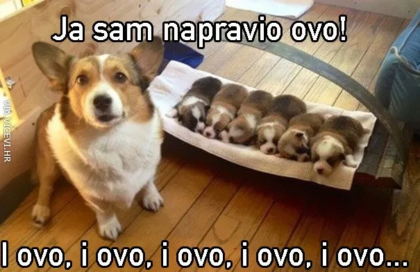I ovo isto