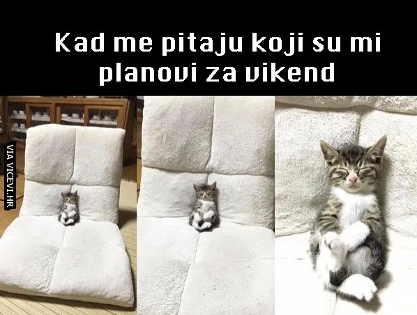 Baš sam zauzet