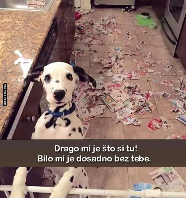 Imam malo iznenađenje za tebe