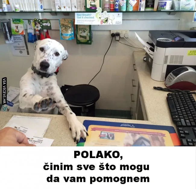 Činim sve što mogu da riješim problem