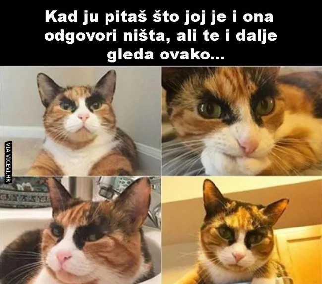 Žene, tko bi ih razumio