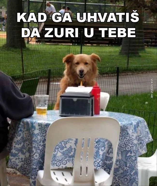 Kad ga uhvatiš da zuti u tebe