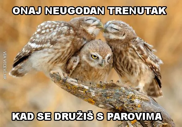 Onaj neugodan trenutak kad se družiš s parovima