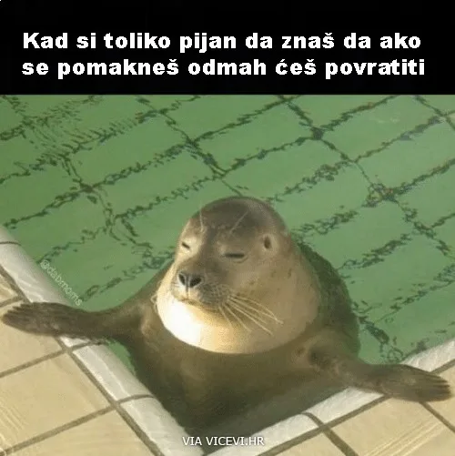 Trebam se odmoriti, nemojte me ometati
